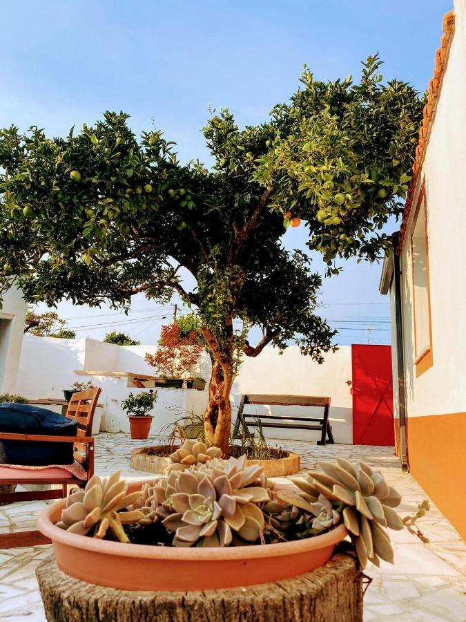 Moita Cottage Εξωτερικό φωτογραφία